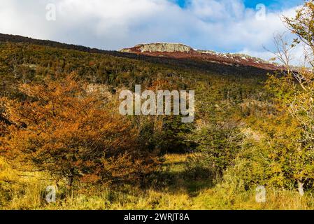 Bahia Ensenada Zaratiegui, Parco Nazionale Terra del fuoco, Patagonia, Argentina Foto Stock