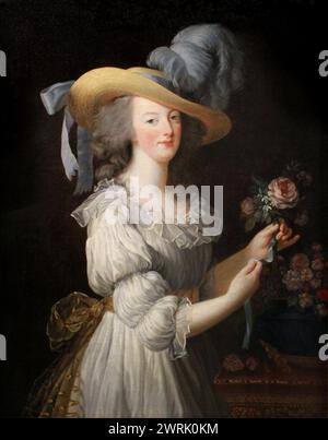 Maria Antonietta con una Rosa, nota anche come Maria Antonietta con la Rosa (francese: Marie-Antoinette dit « à la Rose »), è un dipinto ad olio dell'artista francese Élisabeth Vigée le Brun. Foto Stock