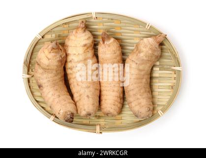 Fresco Gastrodia elata blume su sfondo bianco Foto Stock