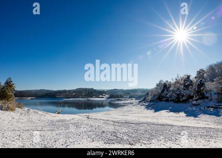 LAC de Lavalette entourée d’une Forêt de sapins, dans les Gorges du Lignon, sous les premières neiges de l’hiver Foto Stock