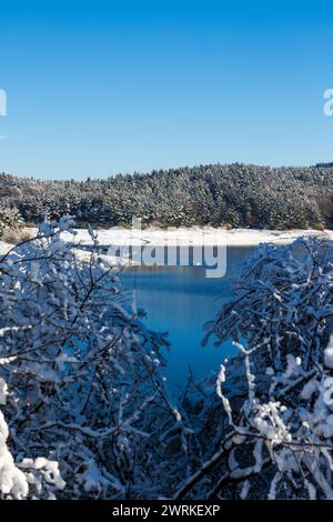 LAC de Lavalette entourée d’une Forêt de sapins, dans les Gorges du Lignon, sous les premières neiges de l’hiver Foto Stock