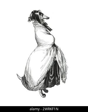 Animali antropomorfi. Cane umanizzato.cane o dachshund vestito con abito da donna. animali cyborg. CRISPR. CAS9. Alieni. illustrazione vintage disegnata a mano. Foto Stock