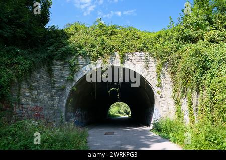 Tunnel con fogliame denso sul tracciato della linea ferroviaria in disuso di Weymouth e Portland, ora Rodwell Trail, utilizzato per camminare e andare in bicicletta nel Dorset UK Foto Stock