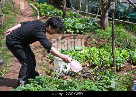 (240313) -- NANCHANG, 13 marzo 2024 (Xinhua) -- Feng Yihua Waters orto nel suo giardino di casa nella campagna della contea di Yihuang, provincia cinese orientale di Jiangxi, 8 marzo 2024. Il Guqin, uno strumento cinese tradizionale a sette corde a pizzico, vanta una storia di oltre 3.000 anni. Feng Yihua, un produttore di Guqin di 38 anni, proviene dalla contea di Yihuang, nella provincia di Jiangxi nella Cina orientale. Influenzato dalla sua famiglia, Feng iniziò a studiare il Guqin all'età di 18 anni. In seguito si trasferì a Shanghai per fare l'apprendista sotto un maestro nell'artigianato di Guqin. Creare un Guqin a mano richiede la lacca cruda, che io Foto Stock