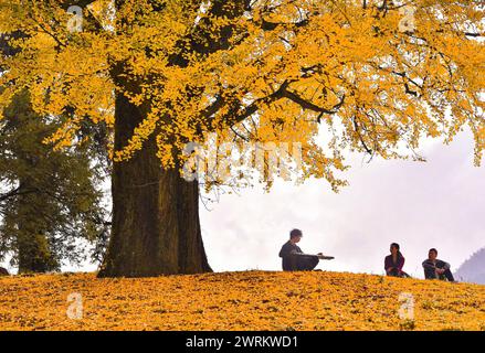 (240313) -- NANCHANG, 13 marzo 2024 (Xinhua) -- Feng Yihua suona Guqin in in un parco nella contea di Yihuang, nella provincia di Jiangxi nella Cina orientale, 25 novembre 2022. Il Guqin, uno strumento cinese tradizionale a sette corde a pizzico, vanta una storia di oltre 3.000 anni. Feng Yihua, un produttore di Guqin di 38 anni, proviene dalla contea di Yihuang, nella provincia di Jiangxi nella Cina orientale. Influenzato dalla sua famiglia, Feng iniziò a studiare il Guqin all'età di 18 anni. In seguito si trasferì a Shanghai per fare l'apprendista sotto un maestro nell'artigianato di Guqin. "Creare un Guqin a mano richiede una lacca grezza, che inizialmente ha causato allergie cutanee. IO Foto Stock