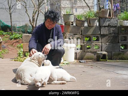 (240313) -- NANCHANG, 13 marzo 2024 (Xinhua) -- Feng Yihua gioca con il suo cane a casa nella campagna della contea di Yihuang, nella provincia cinese orientale di Jiangxi, 8 marzo 2024. Il Guqin, uno strumento cinese tradizionale a sette corde a pizzico, vanta una storia di oltre 3.000 anni. Feng Yihua, un produttore di Guqin di 38 anni, proviene dalla contea di Yihuang, nella provincia di Jiangxi nella Cina orientale. Influenzato dalla sua famiglia, Feng iniziò a studiare il Guqin all'età di 18 anni. In seguito si trasferì a Shanghai per fare l'apprendista sotto un maestro nell'artigianato di Guqin. "Creare un Guqin a mano richiede una lacca grezza, che inizialmente Foto Stock