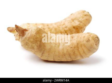 Fresco Gastrodia elata blume su sfondo bianco Foto Stock