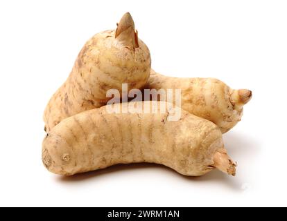 Fresco Gastrodia elata blume su sfondo bianco Foto Stock