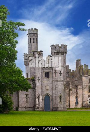 Monumento irlandese gaunt all'umore, Duckett's Grove nella contea di Carlow, Irlanda, un castello in stile neogotico del 1820 raso al suolo da un incendio nel 1933. Foto Stock