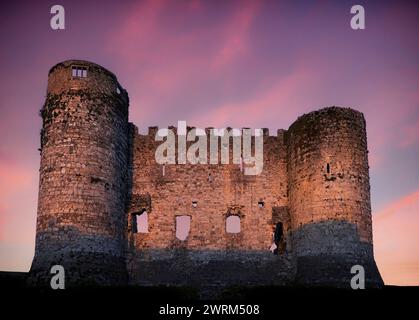 Le accattivanti mura e torri rimaste del castello di Carlow del XIII secolo, a Carlow Town, Irlanda Foto Stock