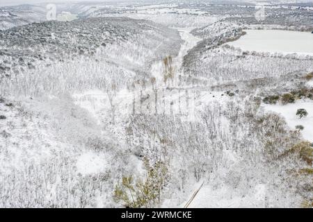 La vista aerea cattura la bellezza serena di una foresta di querce ricoperta di neve fresca, con un percorso serpeggiante che taglia il paesaggio invernale Foto Stock