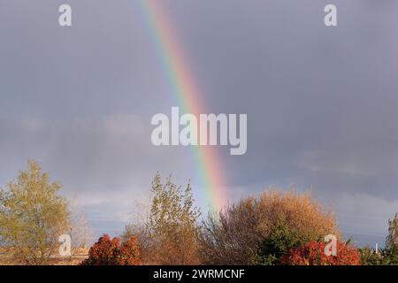 Un vivace arco arcobaleno sopra una vegetazione lussureggiante contro un cielo tempestoso dopo una doccia a pioggia Foto Stock