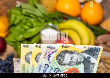 Costo della vita in Romania, prezzi alimentari, concetto di economia e budget, denaro rumeno tenuto in mano davanti ai prodotti alimentari, aumento dell'inflazione nei rom Foto Stock