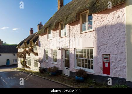 Cottage con tetto di paglia lungo High Street nel villaggio rurale di Stogumber nel Somerset, in Inghilterra. Foto Stock