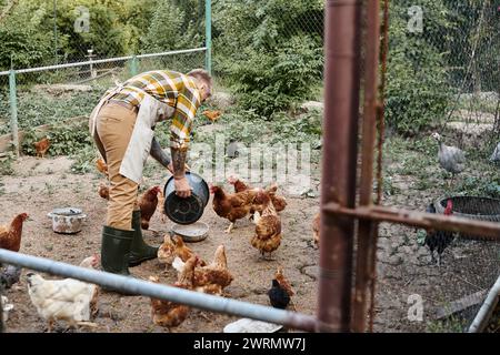 uomo attraente e laborioso con tatuaggi che nutrono polli nella voliera mentre si trova nella sua fattoria Foto Stock