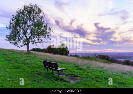 Vista al tramonto di una panchina, un albero e una campagna, a Dunstable Downs, nel Bedfordshire meridionale, Inghilterra, Regno Unito Foto Stock