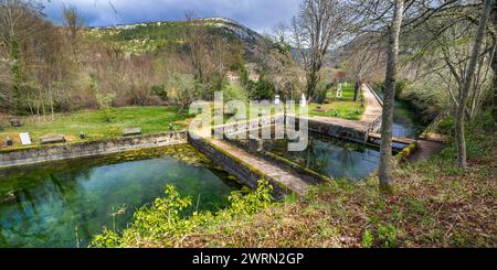 Giardino segreto, monastero di San Salvador, allevamento ittico di trote del XVI secolo, villaggio medievale di Oña, Las Merindades, Burgos, Castilla y León, Spagna, Europa Foto Stock