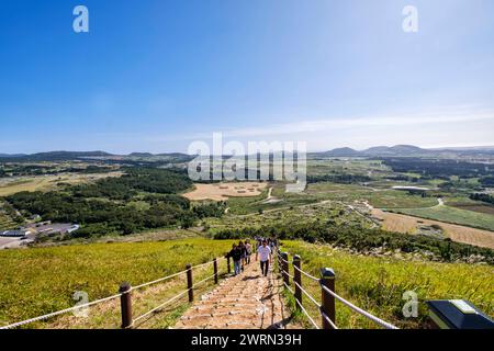 I visitatori salgono lungo il sentiero accanto all'erba d'argento che cresce in autunno sul picco Saebyeol Oreum, Jeju Island, Corea del Sud, Asia Copyright: LynnxGail 1111-2 Foto Stock