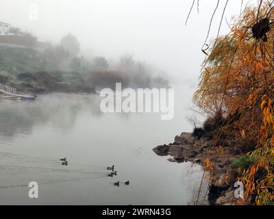 El municipio de Mértola, en Portugal, el paso por él del Río Guadiana, y algunos de los monumentos que se sitúan en sus orillas Foto Stock