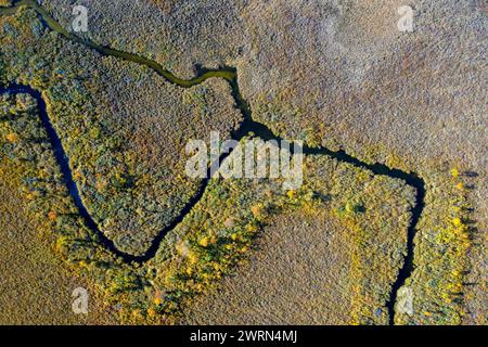 Vista aerea sulla brughiera in autunno/autunno a Hedmark, Innlandet, Norvegia orientale Foto Stock