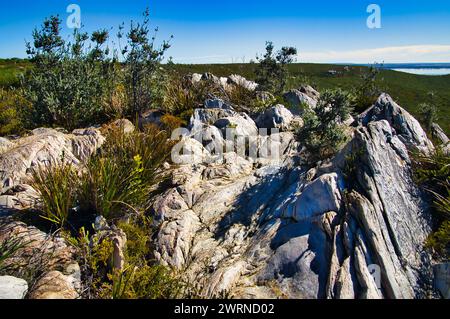 Rocce e vegetazione costiera sul Monte Barren nel Fitzgerald National Park, Hopetoun, Australia Occidentale Foto Stock