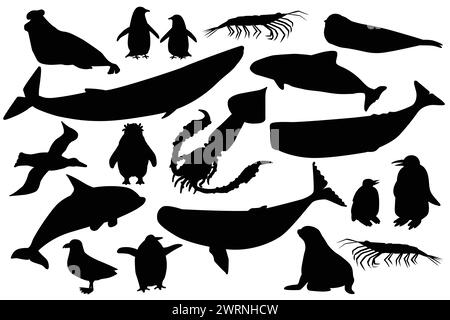 La sagoma vettoriale forma un set nero di animali in Antartide. Raccolta di balene, pinguini, skua, krill, foche, porcellana. Illustrazione Vettoriale