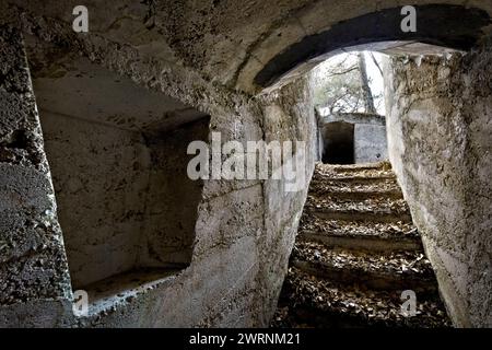 Tunnel delle fortificazioni della grande Guerra nella roccaforte austro-ungarica del Monte Celva. Trento, Trentino, Italia Foto Stock