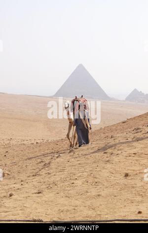 Cairo Giza, Egitto - 24 ottobre 2024 - giro in cammello nel deserto del Sahara. Foto di un beduino e del suo cammello vicino alle piramidi di Giza su un beauti Foto Stock