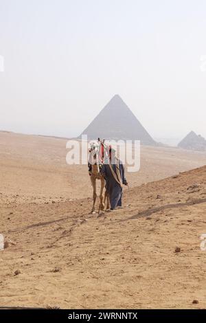 Cairo Giza, Egitto - 24 ottobre 2024 - giro in cammello nel deserto del Sahara. Foto di un beduino e del suo cammello vicino alle piramidi di Giza su un beauti Foto Stock