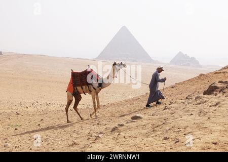 Cairo Giza, Egitto - 24 ottobre 2024 - giro in cammello nel deserto del Sahara. Foto di un beduino e del suo cammello vicino alle piramidi di Giza su un beauti Foto Stock