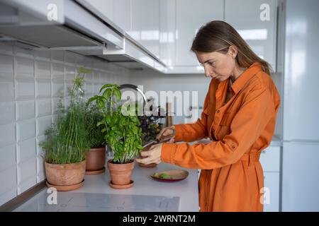 Potare piante con forbici, giardinaggio a casa. Donna tagliò le foglie di basilico verde in eccesso Foto Stock