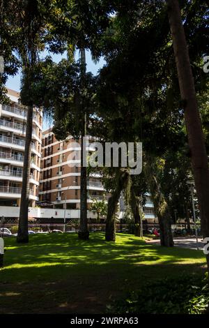 Vista parziale del lato nord dei giardini verdi del Palazzo Catete sotto l'ombra degli alberi nel quartiere Flamengo sotto il sole del mattino estivo cielo azzurro. Foto Stock