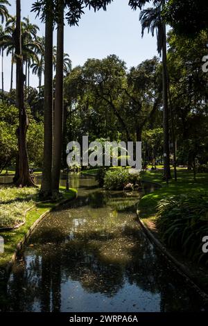 Vista parziale a est dei giardini verdi del Palazzo Catete vicino alla casa principale nel quartiere Flamengo sotto il sole del mattino d'estate cielo azzurro. Foto Stock