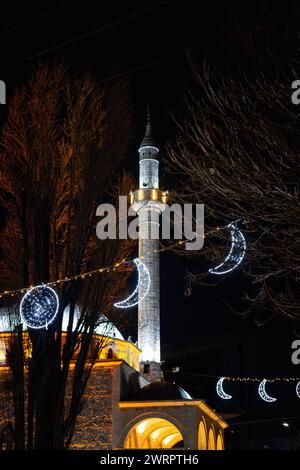 Un'alta torre adornata da intricate decorazioni si erge contro il cielo notturno, accanto ad un albero Foto Stock