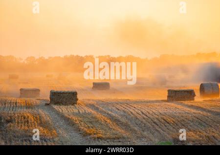 Balle quadrate rotonde di paglia di grano secco pressata sul campo dopo la raccolta. Estate, sole, tramonto all'alba. Frumento pressato per balle sul campo. Polvere. Lavori di raccolta industriale agro-agro. Agricoltura paesaggio agricolo Foto Stock