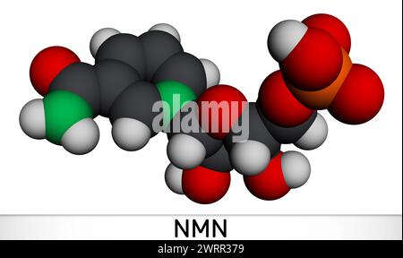 Nicotinamide mononucleotide, molecola NMN. È naturalmente un metabolita anti-invecchiamento, precursore di NAD+. Modello molecolare. Rendering 3D. Illustrazione Foto Stock