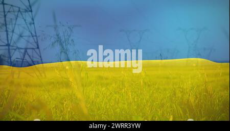 Immagine della bandiera dell'ucraina su pali di campo e di elettricità Foto Stock