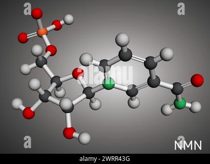 Nicotinamide mononucleotide, molecola NMN. È naturalmente un metabolita anti-invecchiamento, precursore di NAD+. Modello molecolare. Rendering 3D. Illustrazione Foto Stock