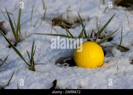 Pallina da golf gialla nella neve Foto Stock