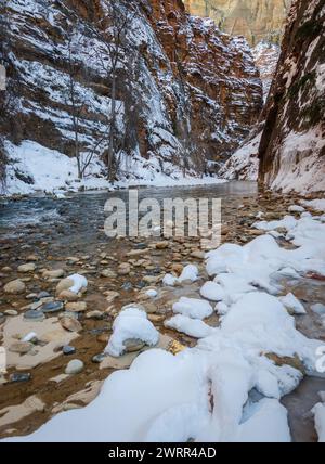 The Narrows, Mountain Pass presso lo Zion National Park nello Utah, Stati Uniti Foto Stock