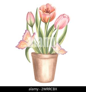 Bouquet di tulipani con farfalle in vaso di fiori. Illustrazione isolata ad acquerello disegnata a mano. Modello di disegno del fiore del giardino primaverile Blossom per carta di Foto Stock