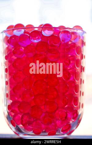 vaso di vetro pieno di sfere rosse di idrogel, fondo bianco Foto Stock