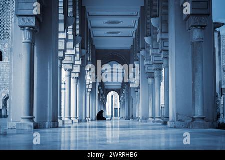 Una vista panoramica delle meraviglie architettoniche del Marocco con splendide colonne e archi Foto Stock