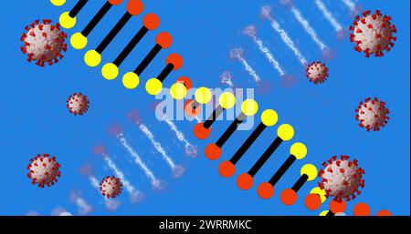 Immagine digitale di più strutture di dna che ruotano contro icone umane su sfondo blu Foto Stock