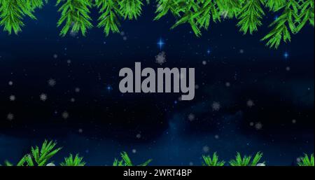 Rami di alberi verdi e neve che cadono contro stelle blu brillanti nel cielo notturno Foto Stock