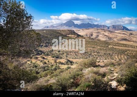 Guardando verso ovest attraverso gli oliveti verso il Parco Nazionale di Djebel Zaghouan dal villaggio berbero in cima alla collina in rovina chiamato Zriba El alia (Zriba Olia) a Tun Foto Stock