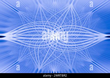 Progettazione astratta di diverse forme e linee, che si incontrano e si sovrappongono nel mezzo, somiglianti a frattali o rappresentazione grafica di equazioni matematiche. Foto Stock