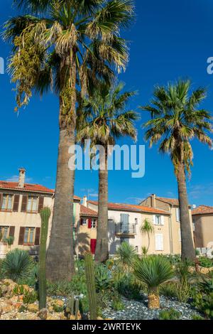Palme e case provenzali nella città di Antibes sulla Costa Azzurra nel sud della Francia Foto Stock