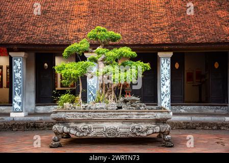Edificio asiatico con tradizionale albero di bonsai ad Hanoi Vietnam Foto Stock
