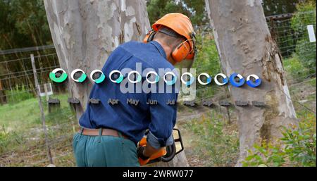 Immagine del grafico sopra il crivello lombare Foto Stock